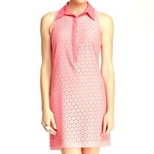 Lace Collared Shirt Dress